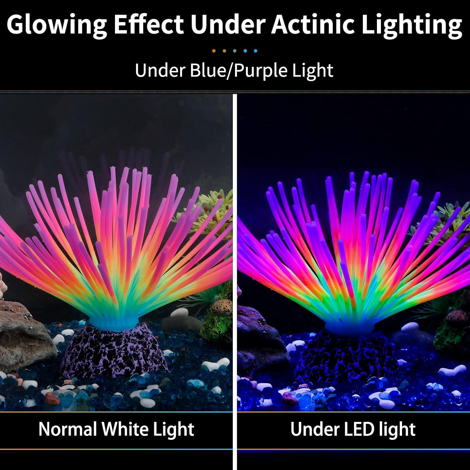 Aquarium Imitative Rainbow Sea - đánh giá và giá Aquarium Fish Rainbow