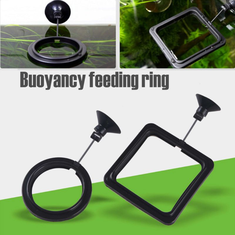 Aquarium Fish Feeding Ring Fis - đánh giá và giá Aquarium Fish Price